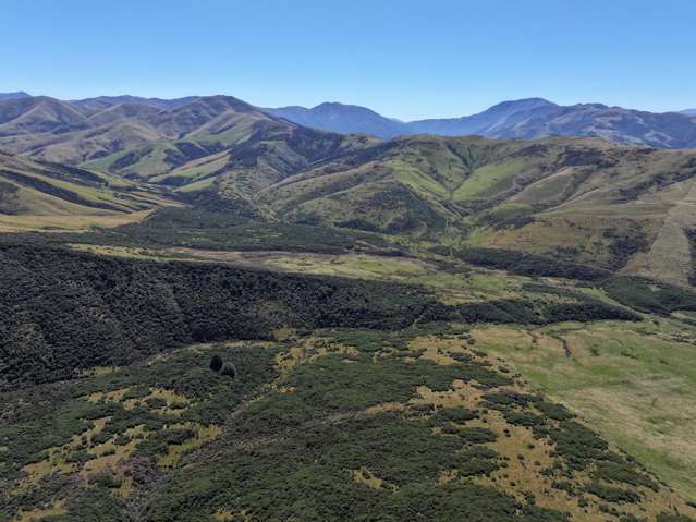 201 Sheepwash Creek Road Ardlussa_2