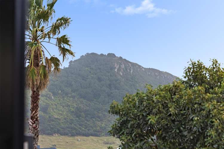 41B May Street Mt Maunganui_36