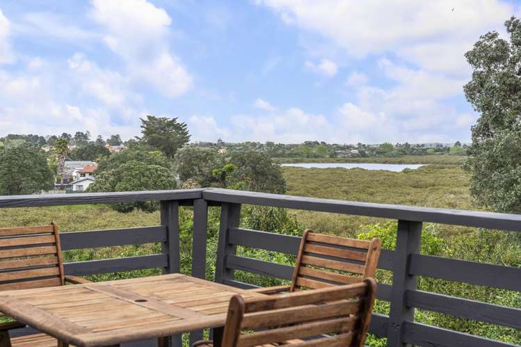 9 Volante Avenue Wattle Downs_16