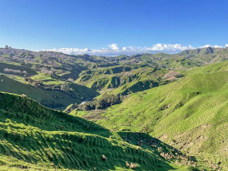 783 Glenroy Road Whangara_10