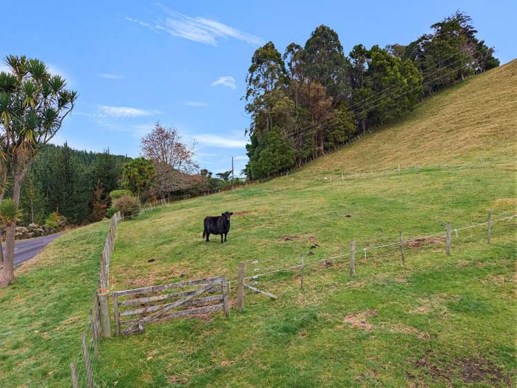 272 Pikowai Road Pikowai_17