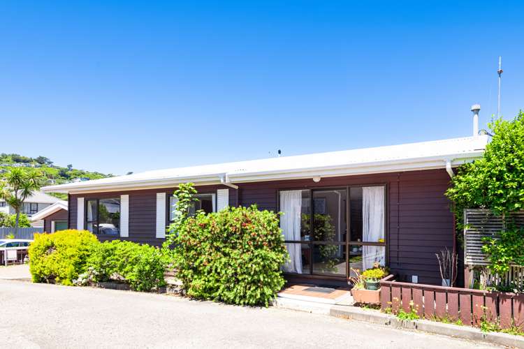 19d Trafalgar Street Johnsonville_1