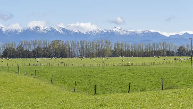 Lot 1, Lot 2 Cornwall Road East Taratahi_5