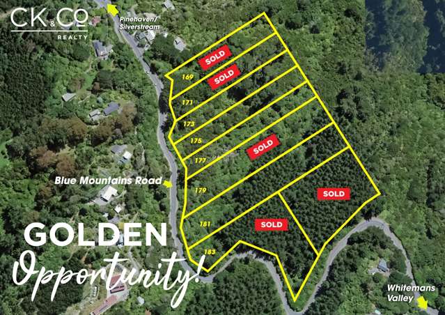 Four Freehold Titles – Only $200,000!