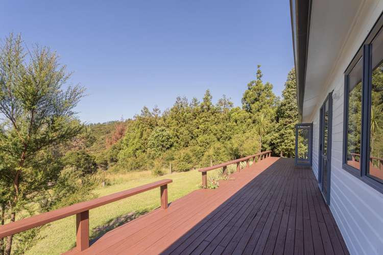 Lot 7, 104 Taiwawe Lane Hot Water Beach_15
