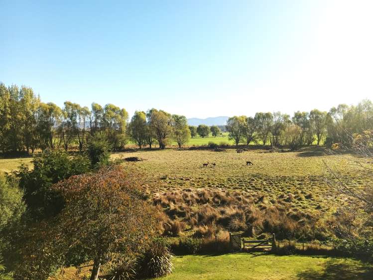 1692b Cust Road Cust Waimakariri Houses for Sale One Roof