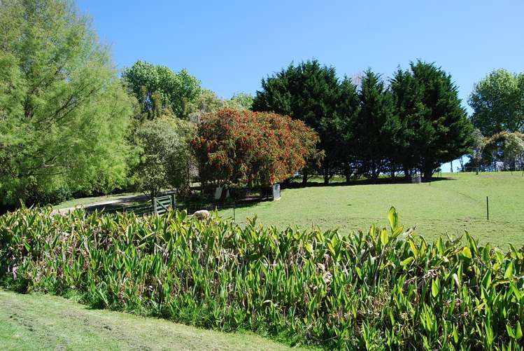 24 Homestead Lane Kaiwaka_9