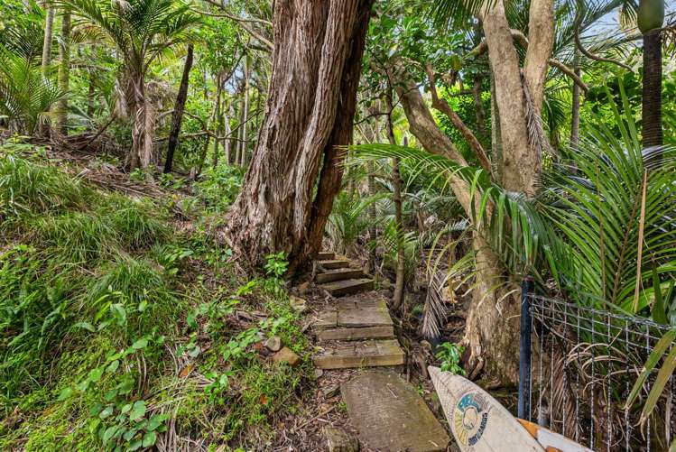 5 Sylvan Glade Piha_14