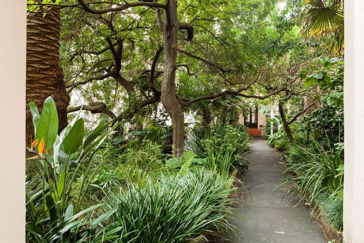 Newton Road Eden Terrace_12