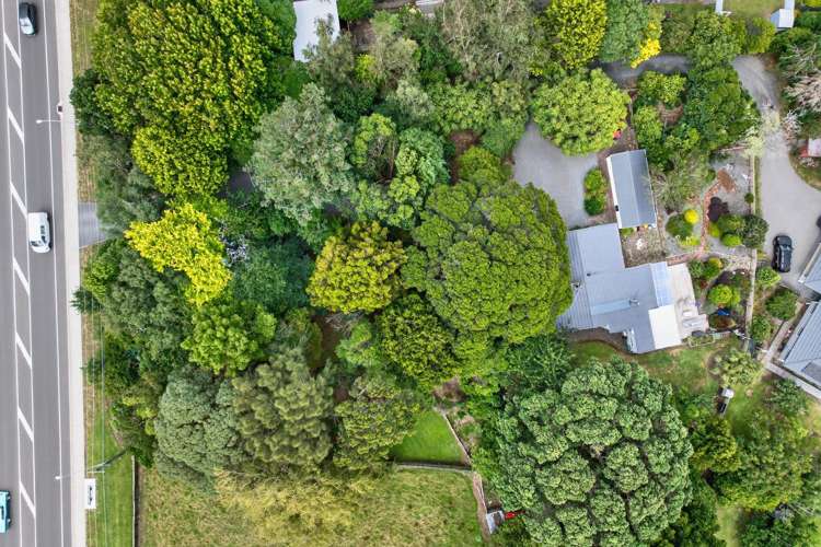 124a Main Road South Raumati Beach_31