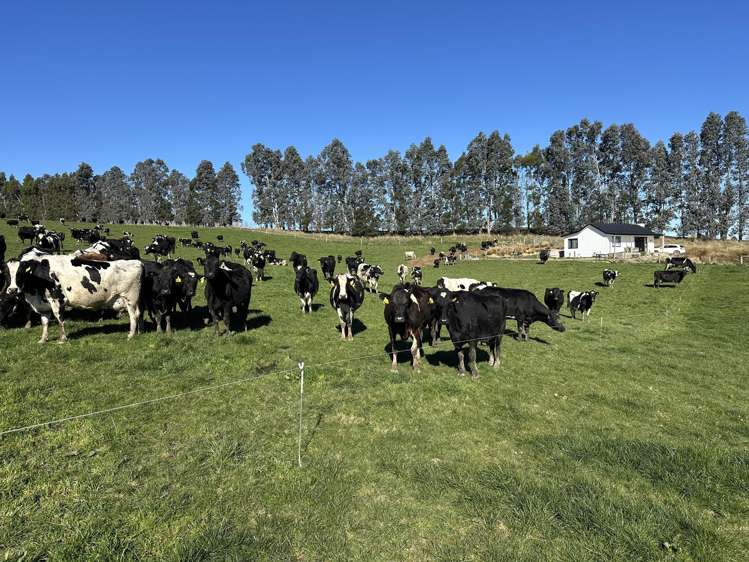 142 Endowment Road Winton Surrounds_16