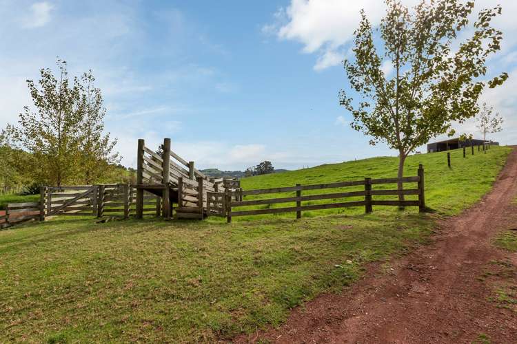 715 Three Mile Bush Road Ruatangata_6