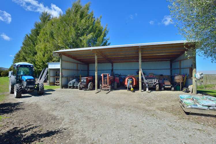 63 Brown Road Ormond_22