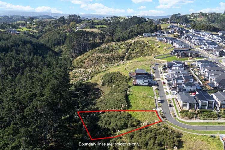 10 Bremner Ridge Street Flat Bush_5