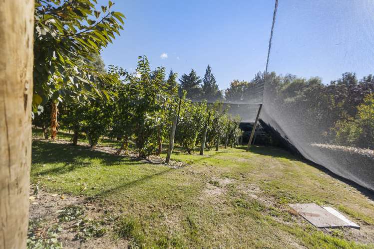 244 Ripponvale Road Cromwell_20