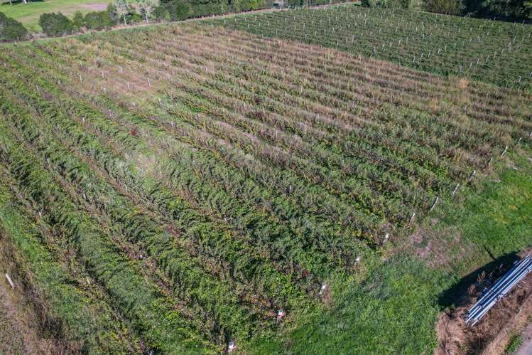 292 Wakefield-Kohatu Highway Wakefield_16