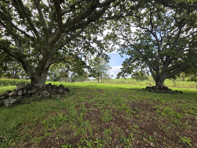 Lot 2 6627 State Highway 1 Pakaraka_12