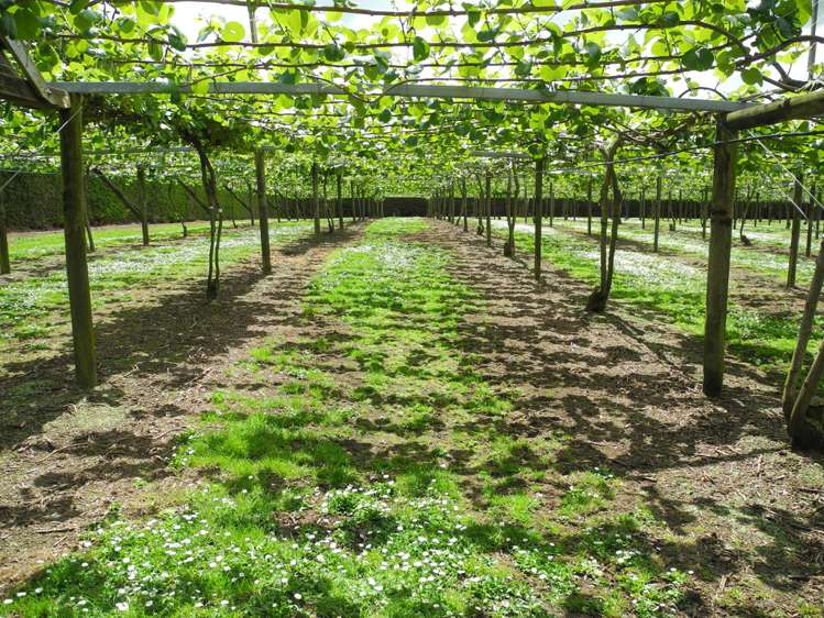 124 Bowman Road Te Awamutu_8