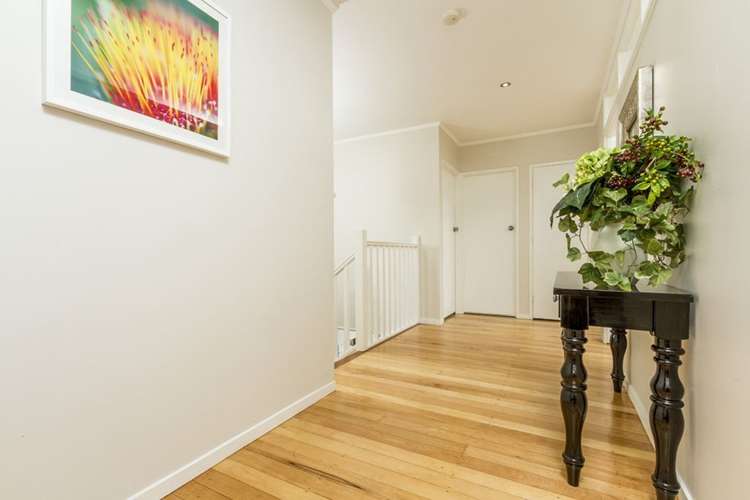 12a Kawerau Avenue Devonport_12