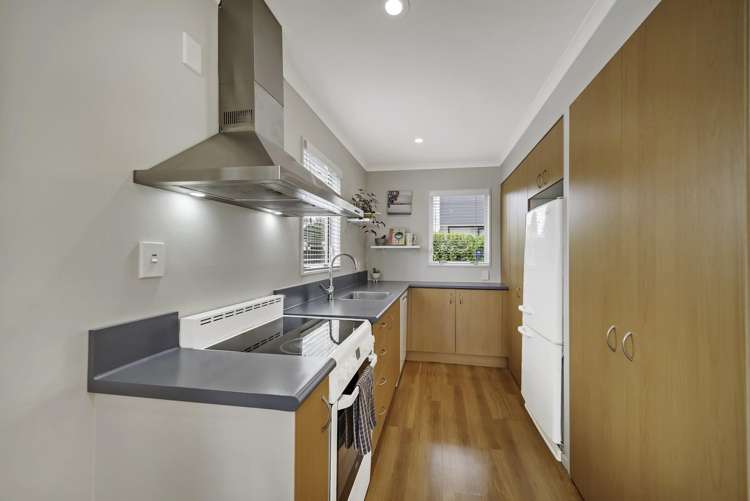 135 Waltham Road Sydenham_3