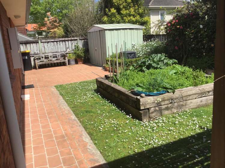 1a Sanders Avenue Morrinsville_2