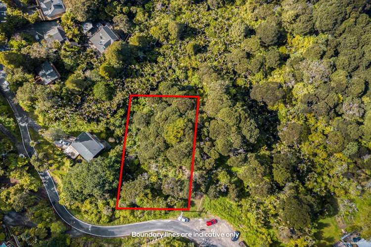 25 Warner Park Avenue Laingholm_7