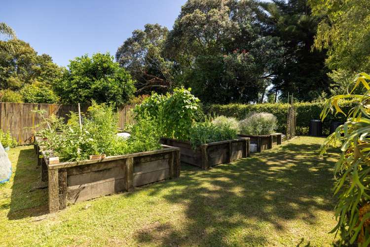 309 Plummers Point Road Whakamarama_30