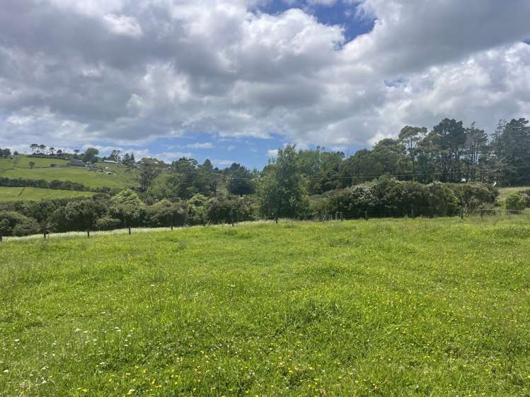 63 Follies Way Dairy Flat_7