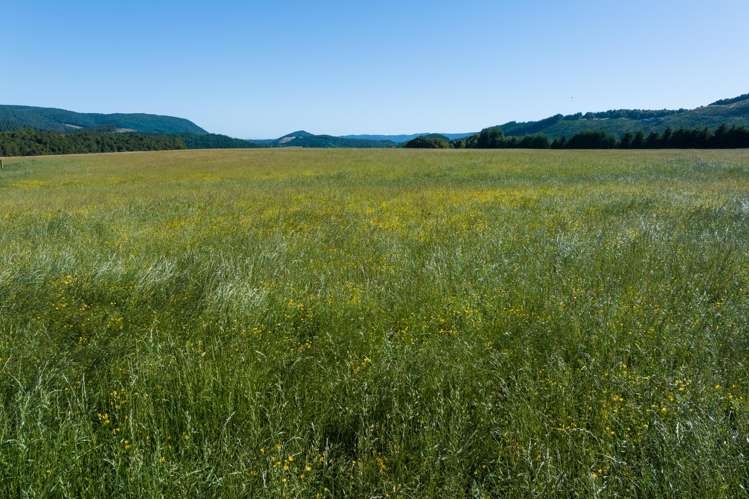 990 Howard Valley Road Howard_8