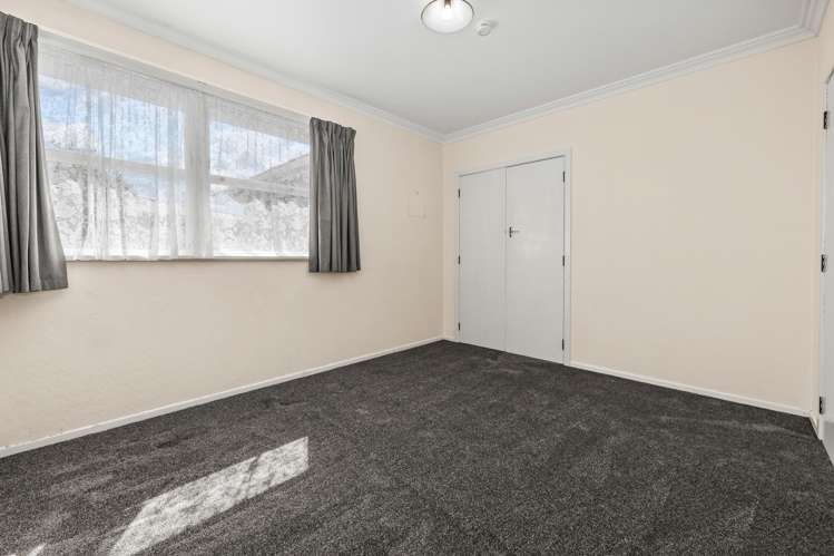 7 Beatty Street Levin_10