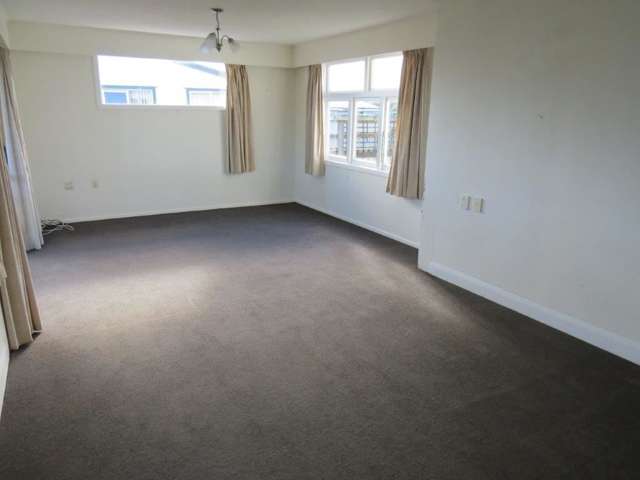 25 Reeve Street Levin_3