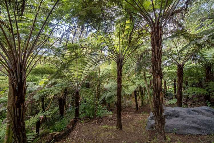 248 Glenvar Road Torbay_36