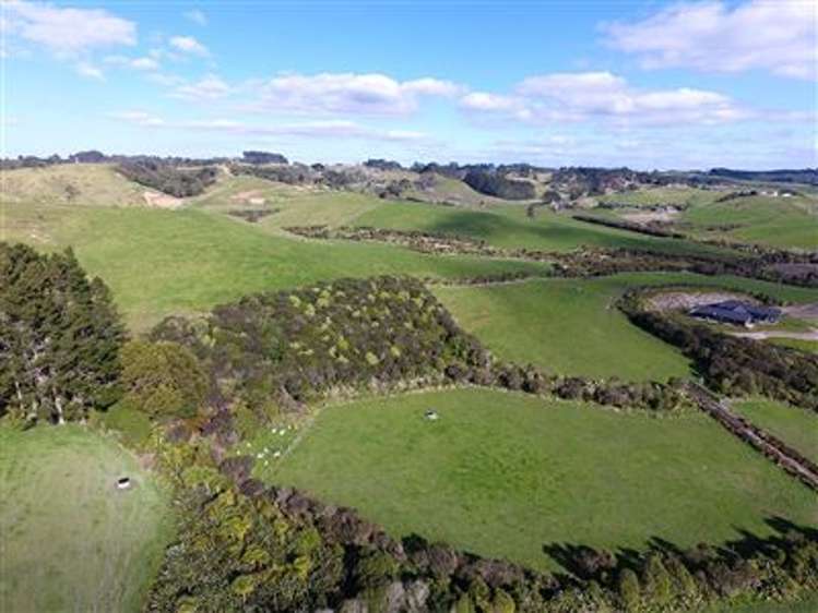 47 Hauora Lane Waitoki_1