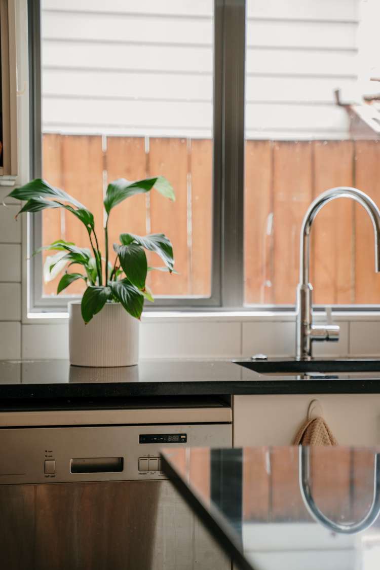 6 Erica Road Flat Bush_22