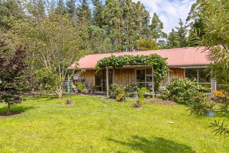 839B Chester Road West Taratahi_36