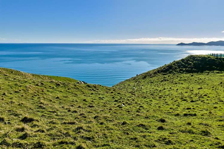 Lot 2,3 and 5/1275 Paekakariki Hill Road Paekakariki Hill_21