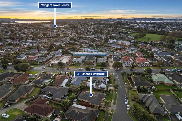 3 Tussock Avenue Mangere_22
