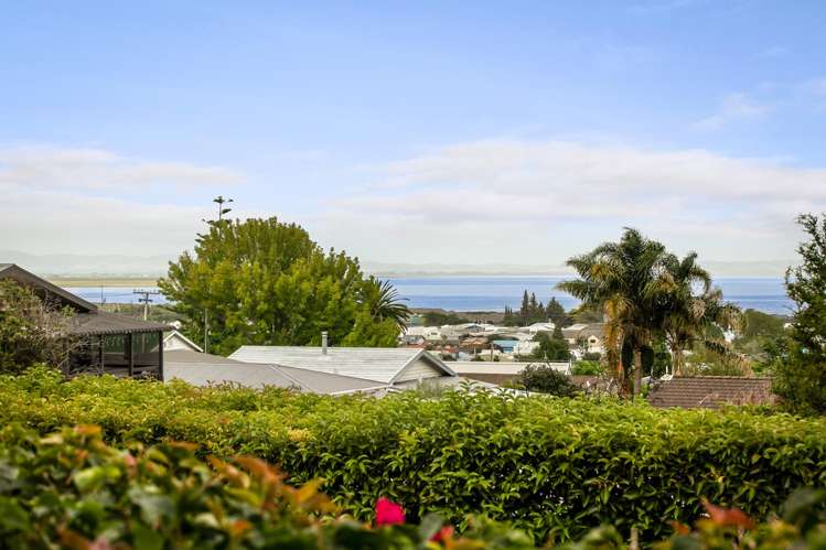 400 The Terrace Thames-coromandel_18