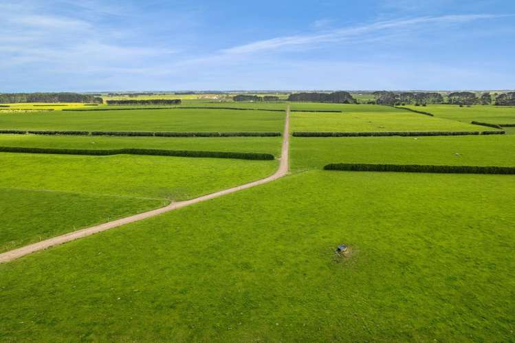 577 Patiki Road Pihama_5