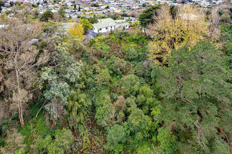 46 Mount View Road Bastia Hill_26