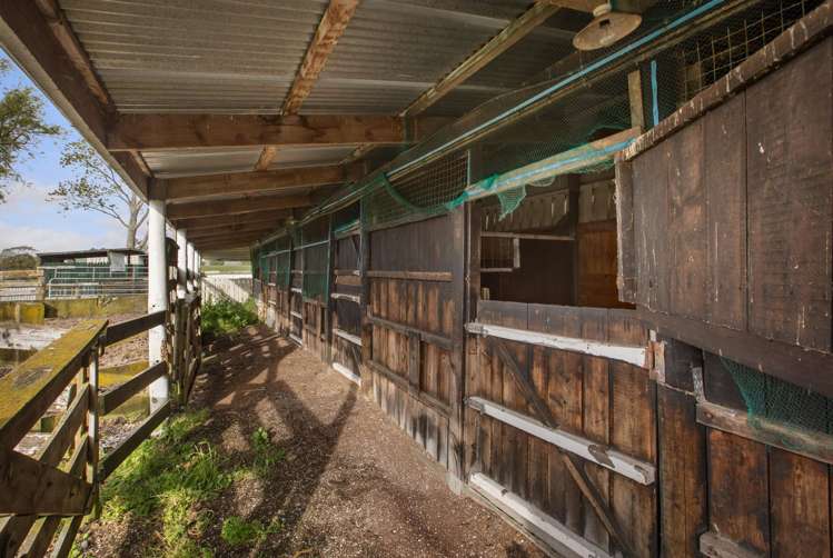 108 Old Netherton Rd Netherton Paeroa Paeroa_29