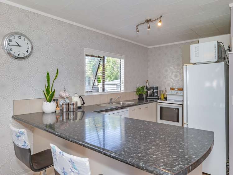 9 Martin Harvey Street Levin_7