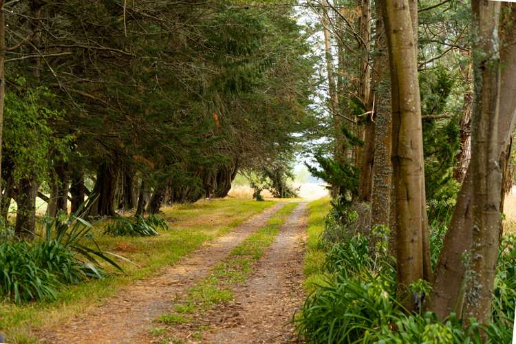 1776 State Highway 2 Tauwharenikau_15