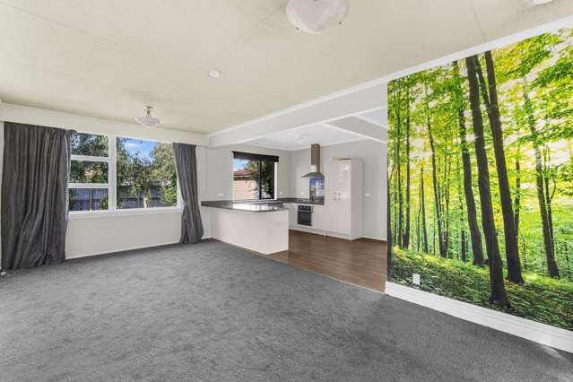 42 Mackie Street Rakaia Rakaia_3