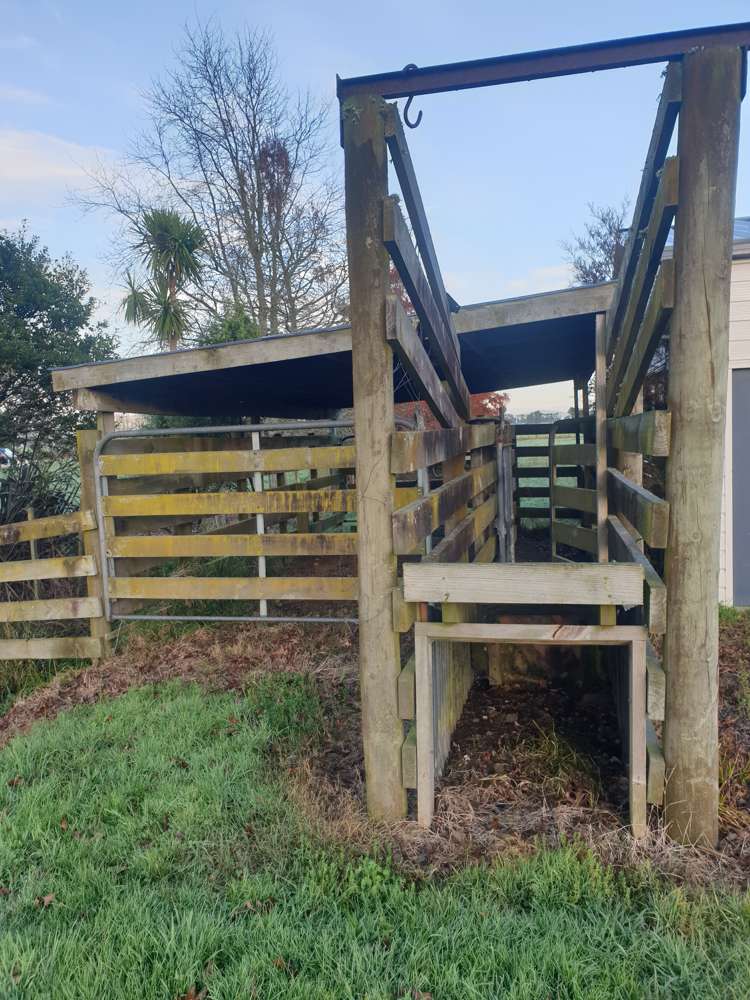 992 Hauraki Road Turua_20