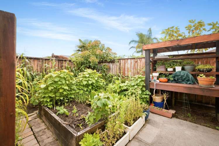 557 Gloucester Road Papamoa_26