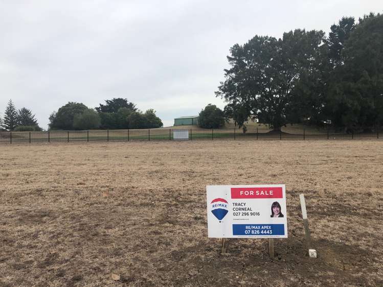 Swan Road Te Kauwhata_14