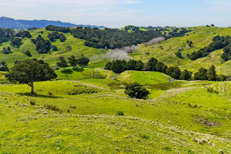 1334 Pukehuia Road Tangiteroria_26