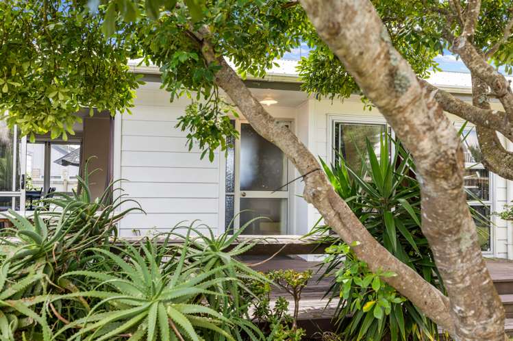 85b Links Avenue Mount Maunganui_16