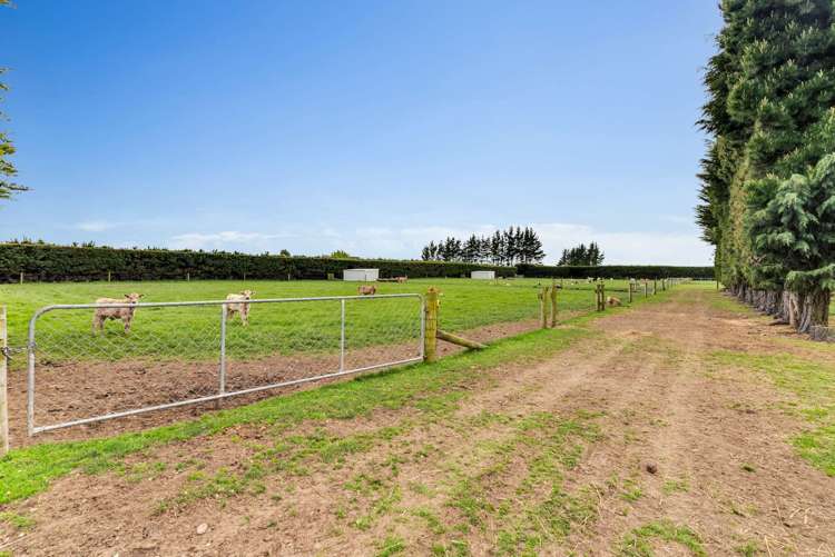 16 Winslow Westerfield Road Ashburton_33